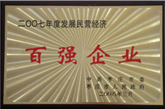 百强企业